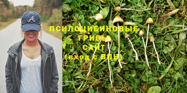 a pvp Зеленокумск