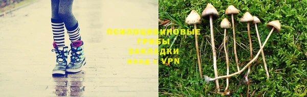 шишки Зерноград