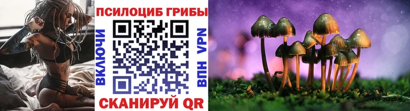 Галлюциногенные грибы MAGIC MUSHROOMS  Купить закладки  Гусь-Хрустальный 